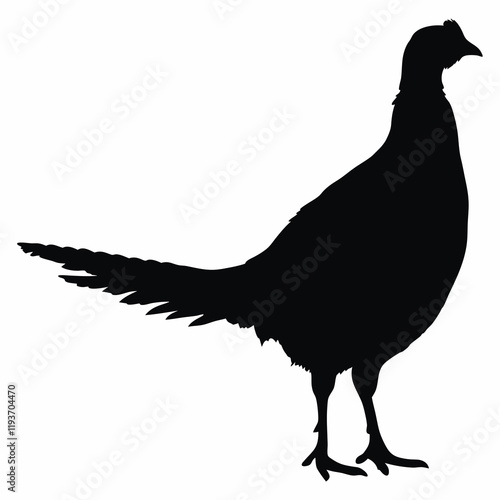 Black silhouette of a pheasant on a white background