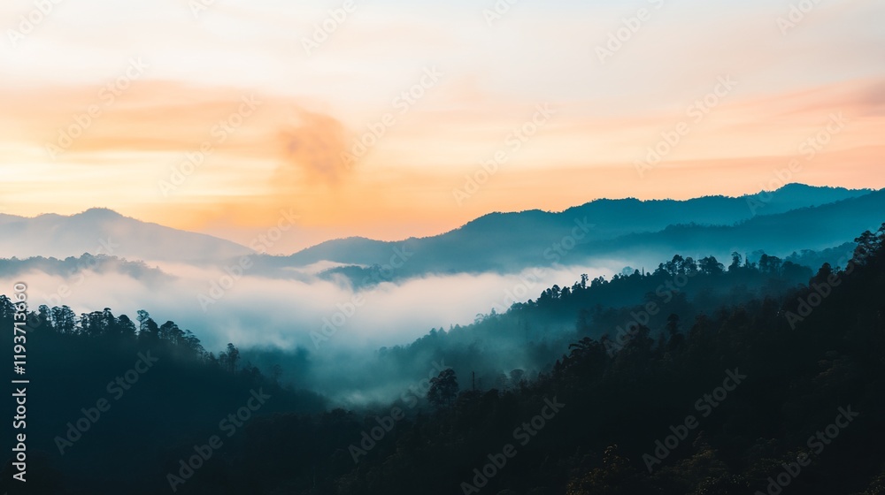 Fototapeta premium a view of a mountain range with a foggy forest below it at sunset