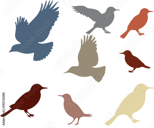 A group of birds in different colors