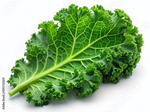 Single Kale Leaf, White Background, Minimalist Food Photography, Fresh Vegetable, Healthy Eating