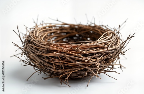 Empty bird nest made of twigs, branches lies on white background. Natural object. Dry nest. Closeup view. Nature concept. Suitable for Easter themes animal related visuals. Simple design. Used for photo