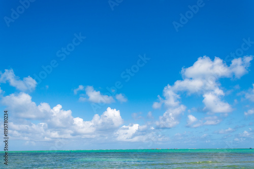 Wallpaper Mural Brasil praia do nordeste Alagoas Maceió  Torontodigital.ca