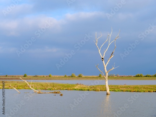 Landscape at the Hortobagy Great Fishponds (Hortobagy-Halasto) in the Nationa...
