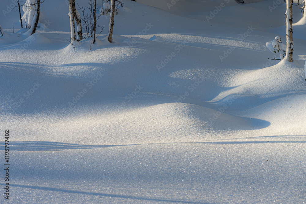 Obraz premium Lake in a snowy coniferous forest zone, winter morning