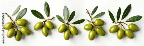 Wallpaper Mural Fresh green olives with leaves arranged on white background. Healthy, delicious looking fruit. Perfect for Mediterranean diet ingredient. Image conveys freshness, purity. Image suitable for food blog Torontodigital.ca