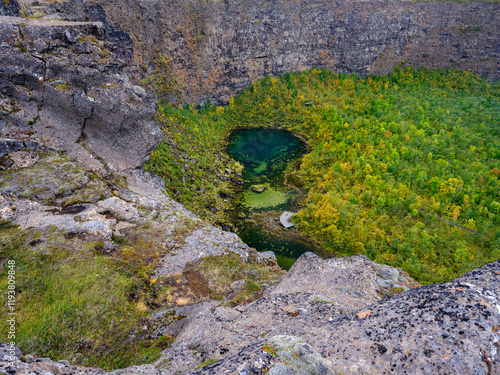 Obraz na płótnie Asbyrgi canyon in Vatnajokull National Park. The canyon war formed by glacial river Jokulsa a Fjollum, before the river changed its course. Iceland w salonie