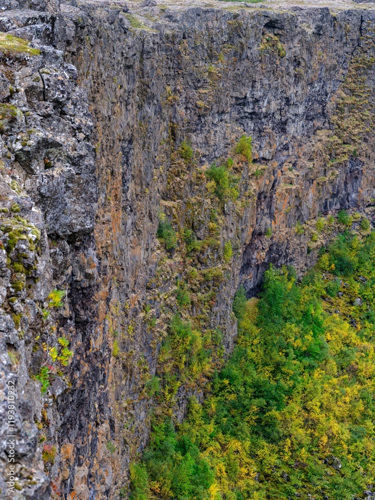 Obraz premium Asbyrgi canyon in Vatnajokull National Park. The canyon war formed by glacial river Jokulsa a Fjollum, before the river changed its course. Iceland