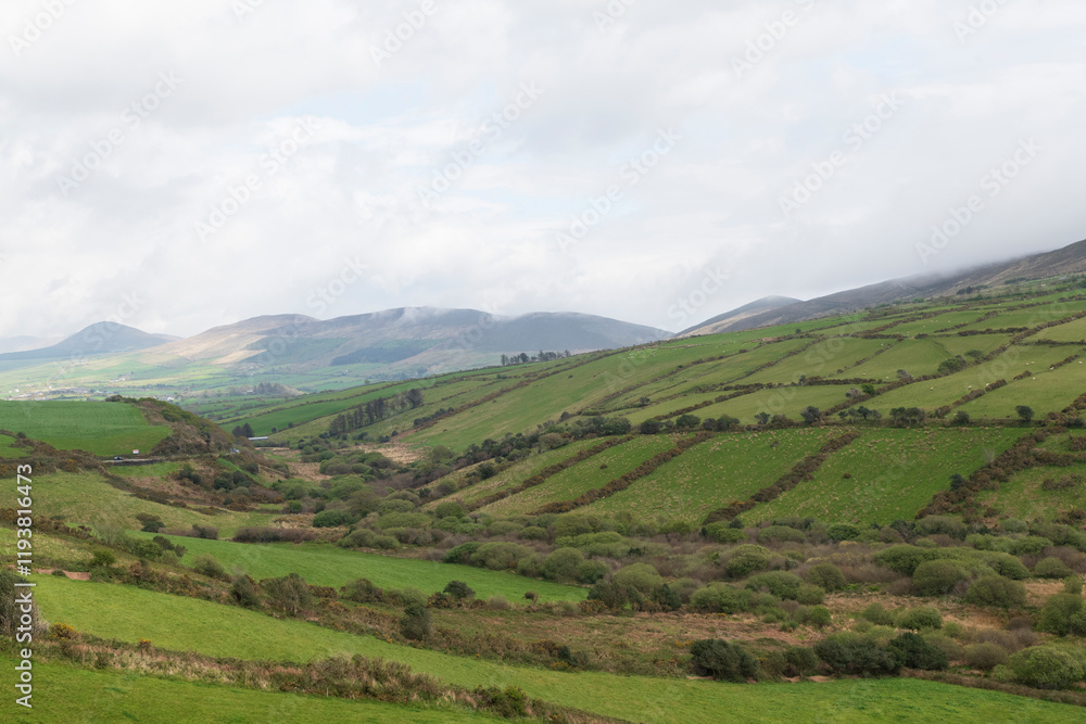Ireland. Landscape with fenced-in pastures. Ireland. Landscape with fenced-in pastures.