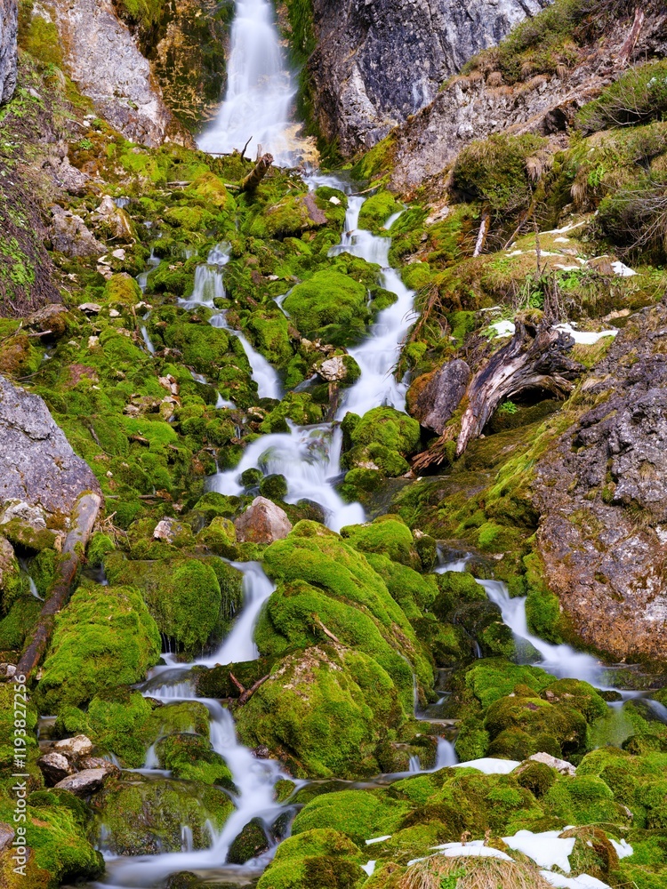 Vallesinella Falls, Cascate Alte, an icon of the Dolomiti di Brenta in the Parco Naturale Adamello Brenta in the province of Trentino in Italy. Vallesinella Falls, Cascate Alte, an icon of the Dolomiti di Brenta in the Parco Naturale Adamello Brenta in the province of Trentino in Italy.