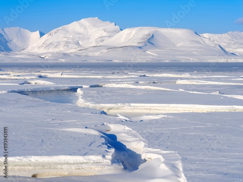 Landscape at frozen Gronfjorden, Island of Spitsbergen. Arctic region, Scandi...