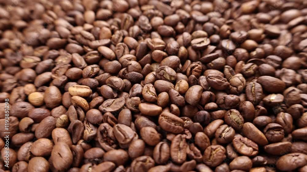 Raw coffee beans moving through a processing facility in perfect rhythm during the daytime Raw coffee beans moving through a processing facility in perfect rhythm during the daytime