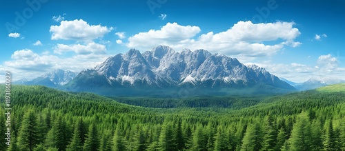 Majestic Alpine Panorama: Snow-Capped Peaks and Verdant Coniferous Forest photo