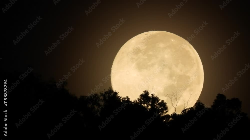 First full moon in January 2025 First full moon in January 2025