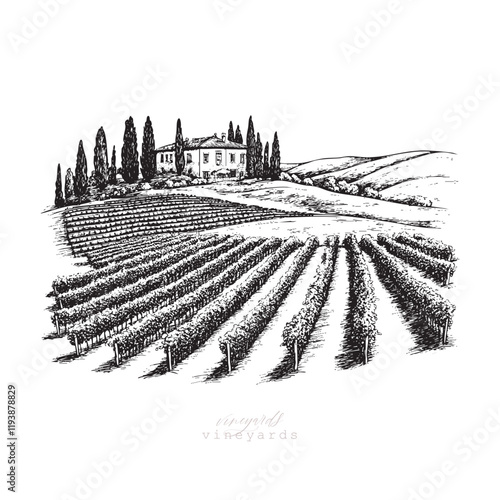 Vineyards landscapes sketched abstract digital illustration