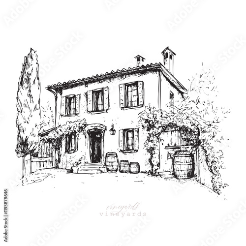 Vineyards landscapes sketched abstract digital illustration