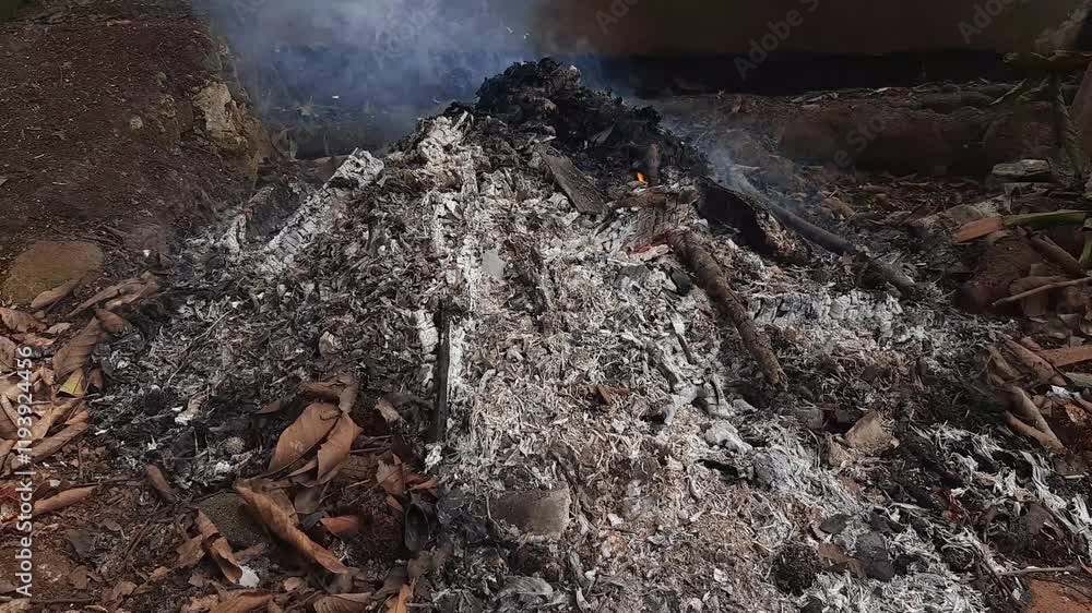 charred wood, burnt ash, burnt residue charred wood, burnt ash, burnt residue