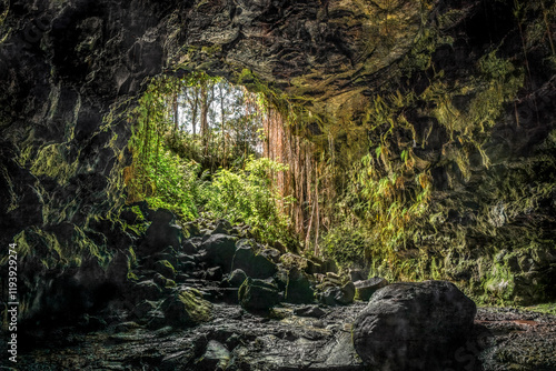 Not far from Hilo, sunlight floods into the Kaumana Caves lava tube, formed on the Big Island of Hawaii during an 1881 lava flow of the Mauna Loa volcano. photo