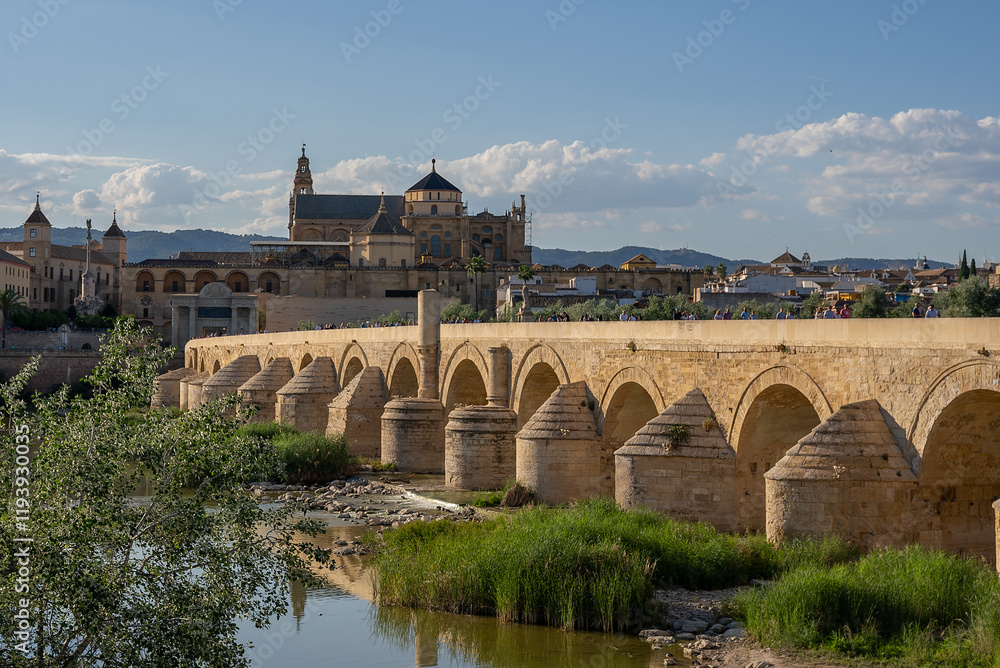 Obraz premium a high angle afternoon view of the ancient roman bridge and the mosque-cathedral of cordoba,spain