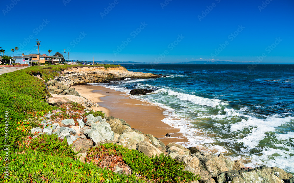 Fototapeta premium Coastal Cliffs and Blue Ocean Waves in Santa Cruz - California, United States
