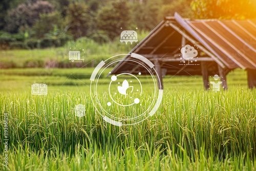 Wallpaper Mural Agricultural technology concept, Ai system. A young man is working on a farm using a tablet controller with innovative technology for a smart farm system. Torontodigital.ca