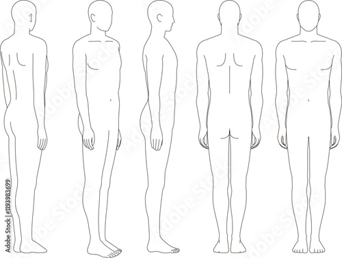 男性人体のイラスト。男性の前面、背面、斜めの略図.
