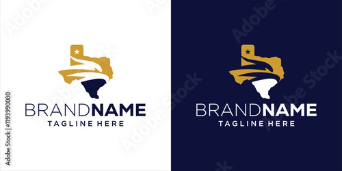 Creative Abstract Eagle Head Logo With Texas Map, Design Inspiration, Illustration, Vector, Icon