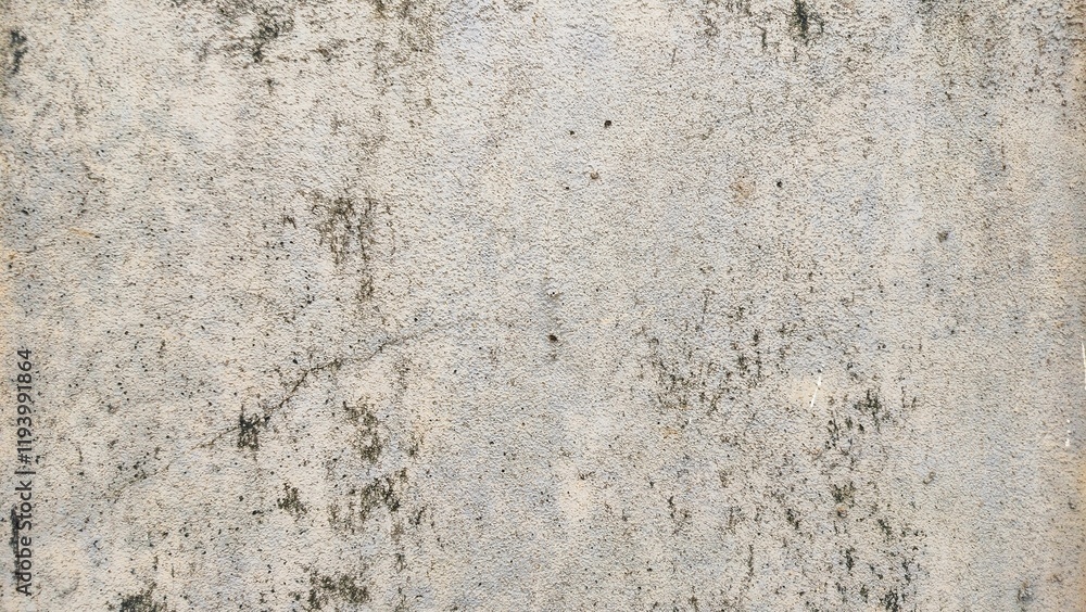 the background of a worn and mossy cement wall. textured surface with a rustic and weathered appearance. The texture appears rough, with a stucco or concrete-like finish, adding depth and detail. the background of a worn and mossy cement wall. textured surface with a rustic and weathered appearance. The texture appears rough, with a stucco or concrete-like finish, adding depth and detail.