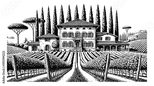 Mediterranean villa surrounded by lush vineyards and tall cypress trees engraving black and white outline