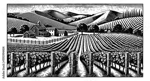 vineyard landscape engraving black and white outline