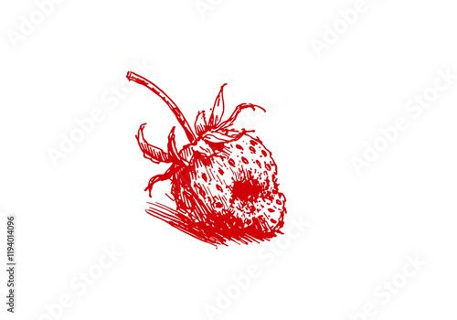 Strawberry Leftover Waste Hand Drawn Sketch Illustration Vector Isolated