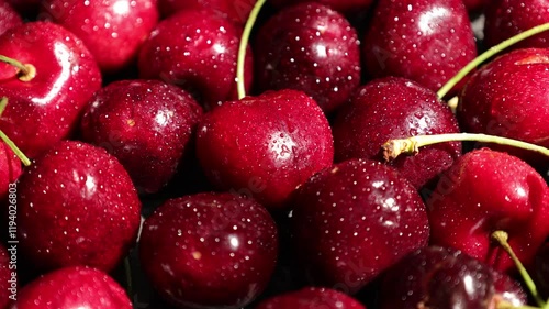Red cherry fruit with drops 