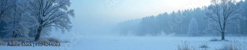 Dense foggy morning in a frosty forest landscape, tranquility, winter wonderland, stillness