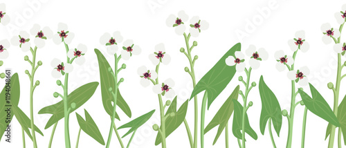 seamless pattern with flowers of tansy and willowherb and sparrow birds, vector drawing wild plants , hand drawn natural illustration