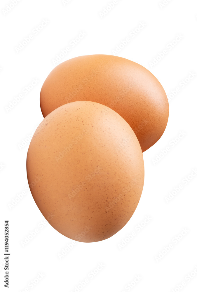 Top view of two fresh brown chicken eggs in stack isolated on white background with clipping path Top view of two fresh brown chicken eggs in stack isolated on white background with clipping path