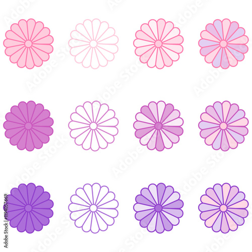 菊の花12種類