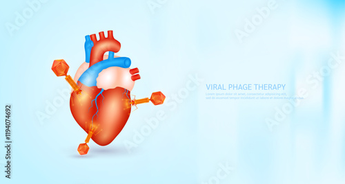Model red bacteriophage on heart. Phage therapy or phagotherapy. Virus affects destroys harmful bacterial cell human internal. Medical science research and analysis. Banner vector EPS10.