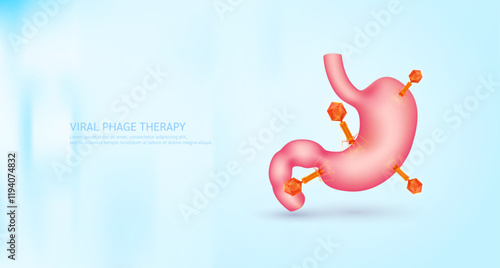 Model red bacteriophage on stomach. Phage therapy or phagotherapy. Virus affects destroys harmful bacterial cell human internal. Medical science research and analysis. Banner vector EPS10.