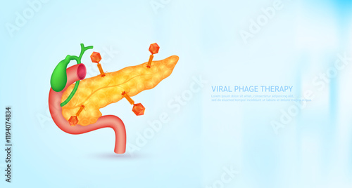 Model red bacteriophage on pancreas. Phage therapy or phagotherapy. Virus affects destroys harmful bacterial cell human internal. Medical science research and analysis. Banner vector EPS10.