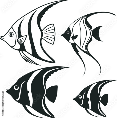 Black and White Angelfish Vector silhouette