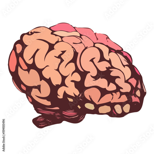 human brain vector