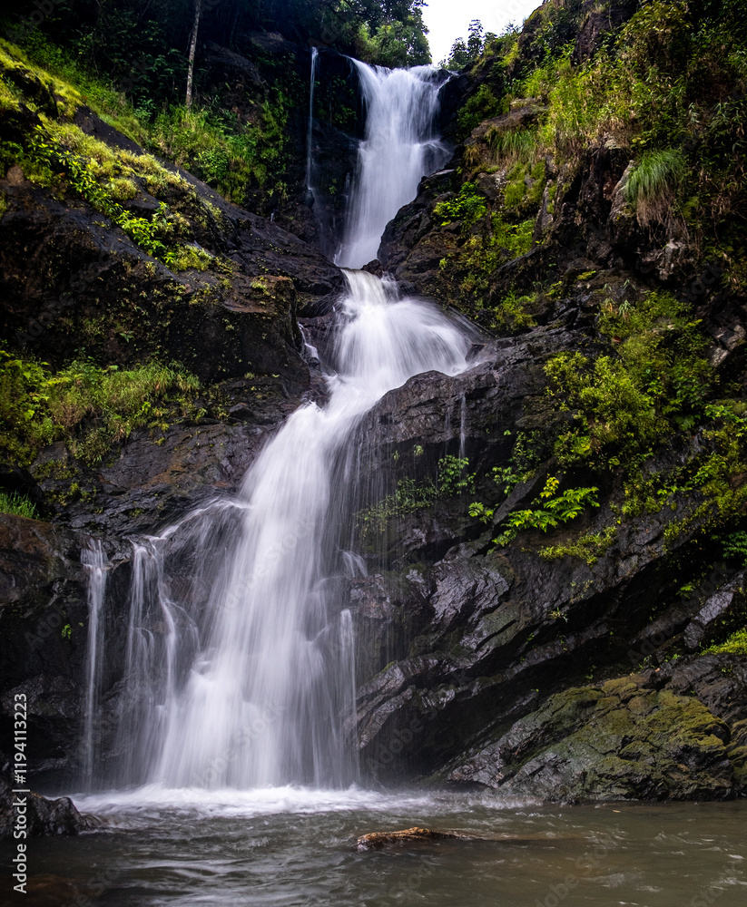 Fototapeta premium waterfall in the forest