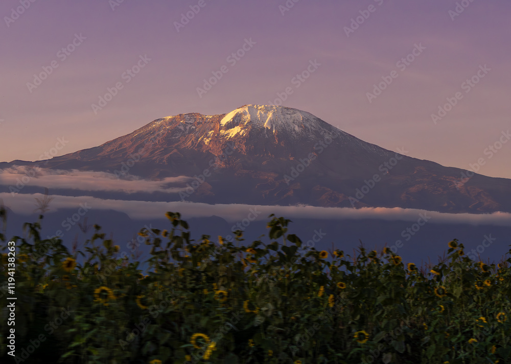 Fototapeta premium Mount Kilimanjaro at sunset