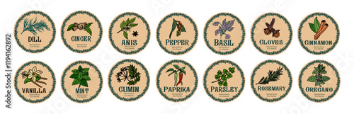 Vector set of spices food labels with herbs sketches, pepper, basil, paprika, oregano, rosemary, ginger, parsley. Packaging and labeling template. Organic, natural flavor, eco friendly, kitchen herbs.