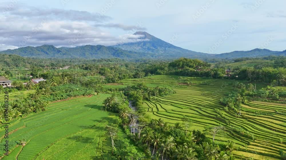 Birds eye view over the valley and terraced rice fields in Magelang, Central Java. Birds eye view over the valley and terraced rice fields in Magelang, Central Java.
