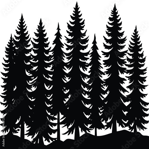 a dense forest of pine tree silhouettes