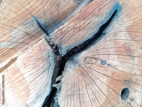 The background is made from pieces of clove wood that