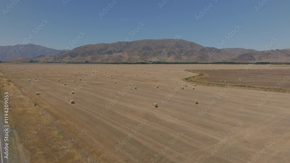 Aerial Shot Of Hays On Landscape Of Semi Arid Agricultural Field, Drone Flying Forward On Sunny Day - Otago, New Zealand Aerial Shot Of Hays On Landscape Of Semi Arid Agricultural Field, Drone Flying Forward On Sunny Day - Otago, New Zealand