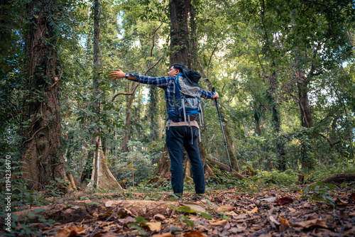 Lover hikers admiring massive tree forest stand looking up at the towering tree themes of discovery, serenity untouched wilderness guide trekking and trail exploration holiday ecotourism concept. photo