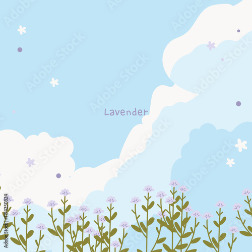 lavender