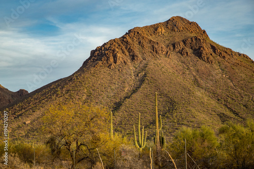 Majestic mountain with Saguaro cactus at dusk